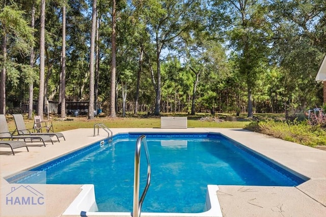 view of pool with a patio area