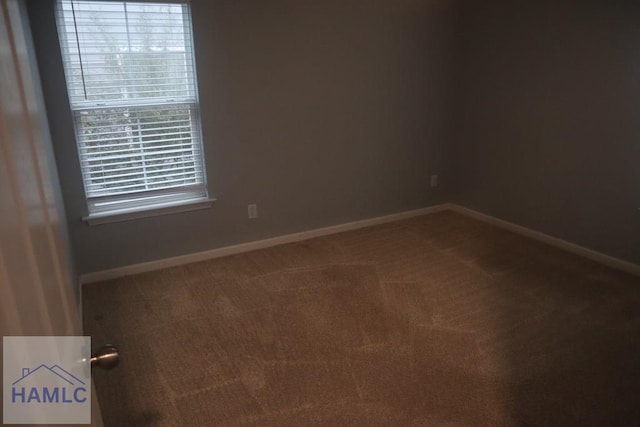 spare room with carpet