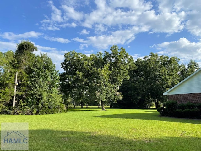 view of community with a yard