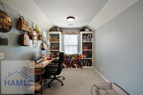 246 Cumberland Dr NE, Ludowici, GA 31316 - carpeted home office with vaulted ceiling and a textured ceiling