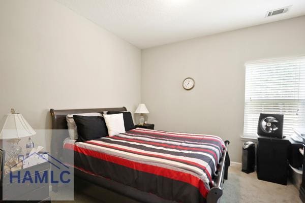 246 Cumberland Dr NE, Ludowici, GA 31316 - bedroom featuring carpet flooring
