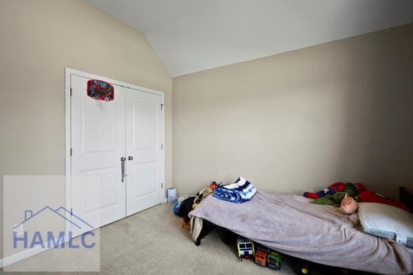 246 Cumberland Dr NE, Ludowici, GA 31316 - bedroom with lofted ceiling, carpet, and a closet