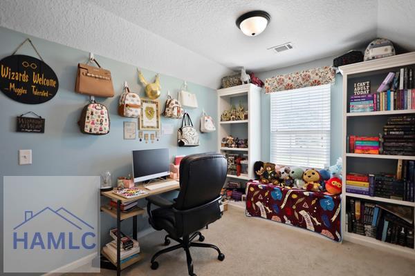246 Cumberland Dr NE, Ludowici, GA 31316 - carpeted office featuring vaulted ceiling and a textured ceiling