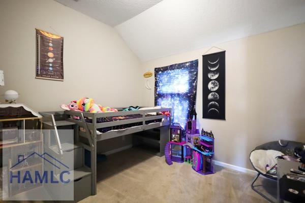 246 Cumberland Dr NE, Ludowici, GA 31316 - bedroom with carpet and lofted ceiling