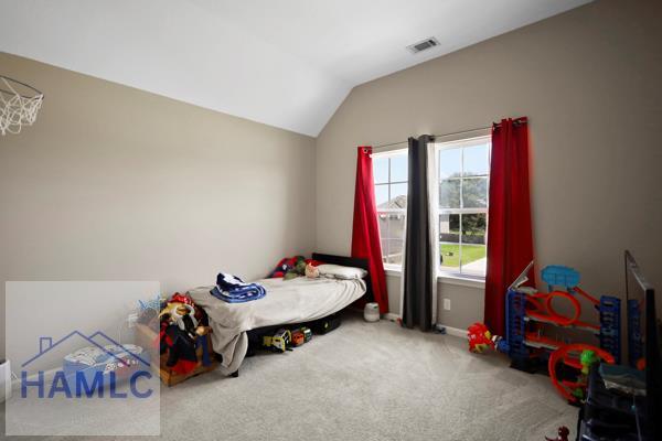 246 Cumberland Dr NE, Ludowici, GA 31316 - carpeted bedroom with lofted ceiling
