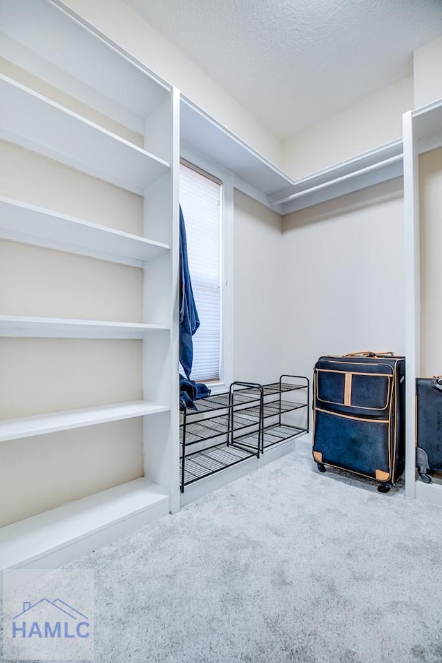 86 Brigham Dr, Richmond Hill, GA 31324 - spacious closet with carpet