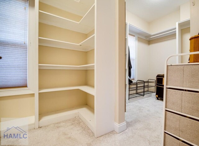 86 Brigham Dr, Richmond Hill, GA 31324 - walk in closet featuring carpet