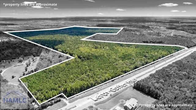 262.44AC Leroy Coffer Hwy, Fleming, GA 31309
