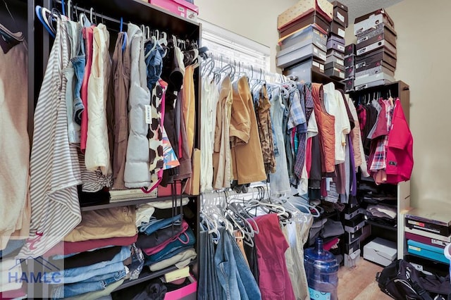 view of spacious closet