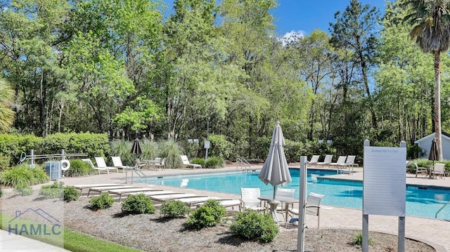 view of swimming pool featuring a patio