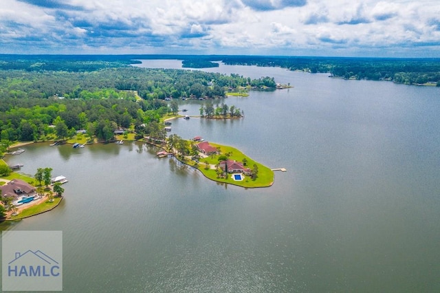 745 Chickasaw Trl, Sparta, GA 31087 - aerial view of a large body of water