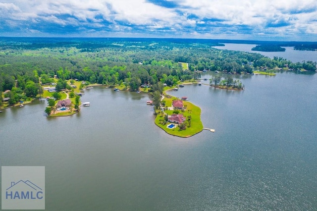745 Chickasaw Trl, Sparta, GA 31087 - bird's eye view of a large body of water