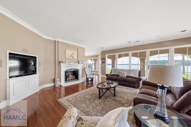 745 Chickasaw Trl, Sparta, GA 31087 - living room with crown molding, wood finished floors, plenty of natural light, baseboards, and a warm lit fireplace