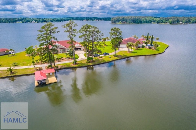 745 Chickasaw Trl, Sparta, GA 31087 - drone / aerial view of a large body of water