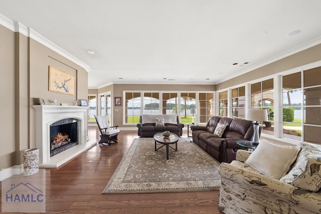 745 Chickasaw Trl, Sparta, GA 31087 - living area with ornamental molding, dark wood-style floors, healthy amount of natural light, baseboards, and a lit fireplace