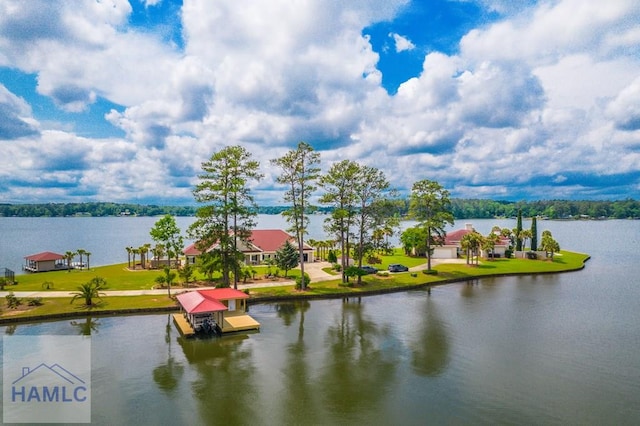 745 Chickasaw Trl, Sparta, GA 31087 - water view featuring a dock and boat lift