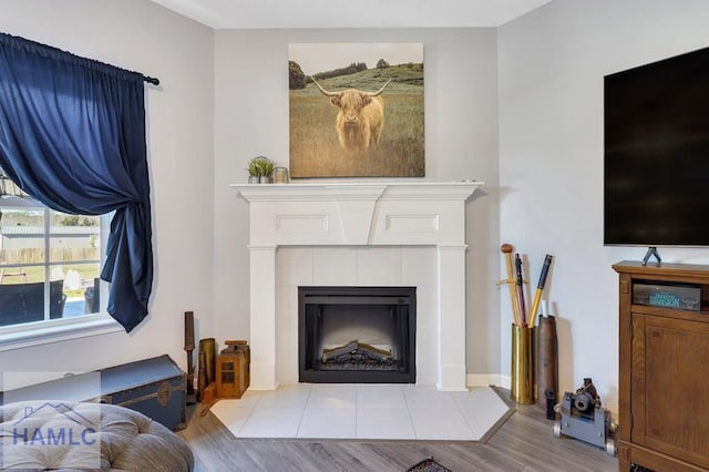 living room featuring wood finished floors and a tile fireplace