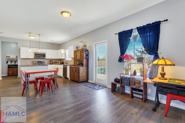 dining room featuring baseboards and dark wood-style flooring