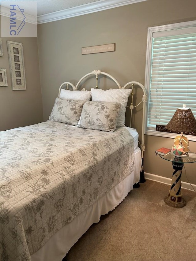 155 Persimmon St, Jesup, GA 31545 - bedroom with crown molding and carpet floors