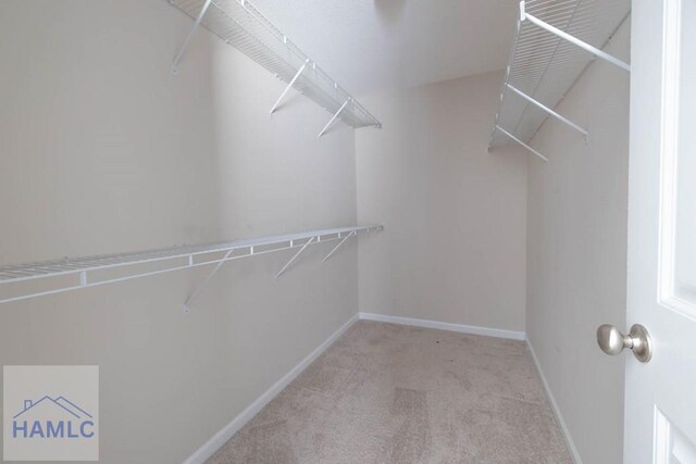 46 Covey Ln NE, Ludowici, GA 31316 - walk in closet featuring carpet floors