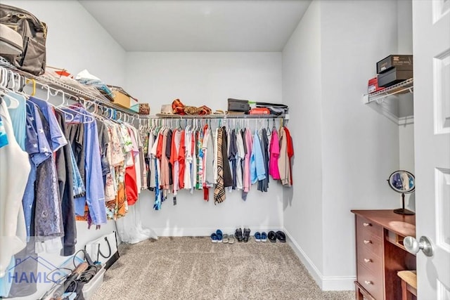 walk in closet with carpet flooring