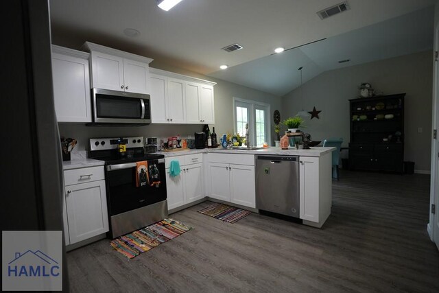 613 Macon St, Ludowici, GA 31316 - kitchen with stainless steel appliances, a peninsula, light countertops, dark wood finished floors, and lofted ceiling