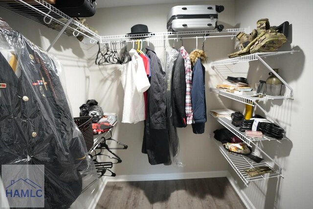 613 Macon St, Ludowici, GA 31316 - walk in closet with wood finished floors