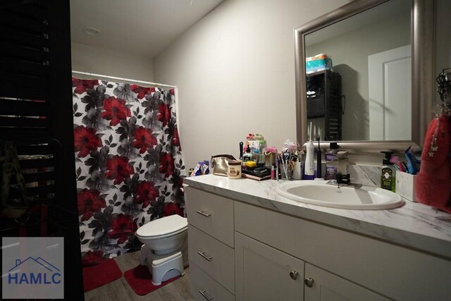 613 Macon St, Ludowici, GA 31316 - bathroom with wood finished floors, vanity, toilet, and curtained shower