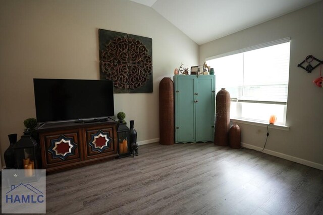 613 Macon St, Ludowici, GA 31316 - living room featuring wood finished floors, baseboards, and lofted ceiling