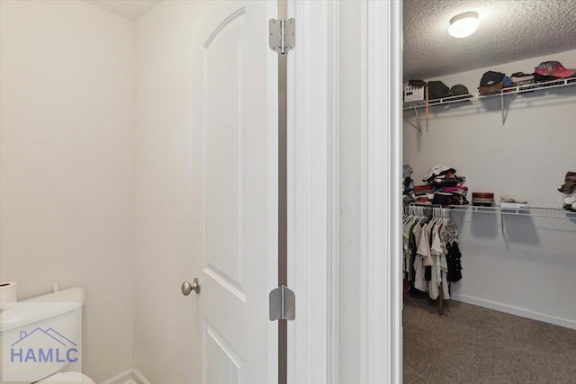 spacious closet with carpet flooring