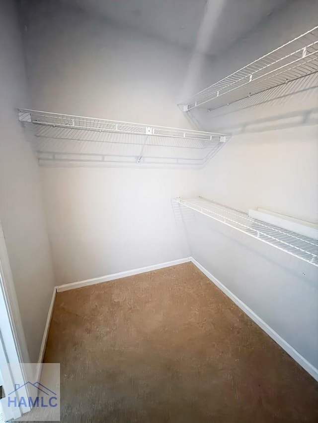 view of walk in closet