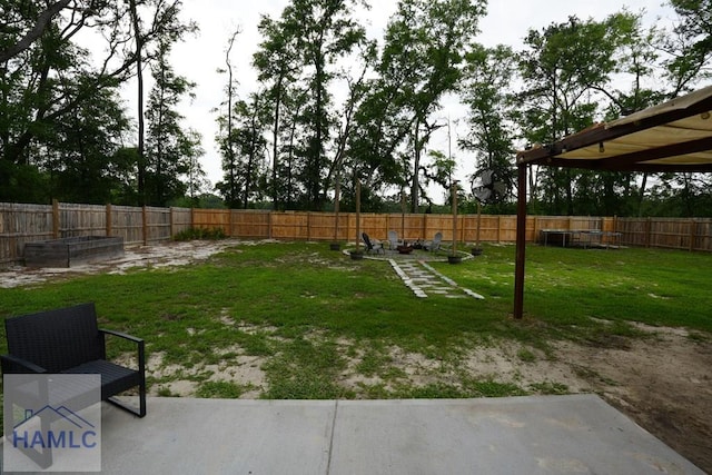 21 Oak Ridge Cemetery Rd SW, Ludowici, GA 31316 - view of yard