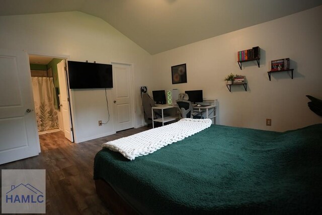 21 Oak Ridge Cemetery Rd SW, Ludowici, GA 31316 - bedroom featuring lofted ceiling and wood finished floors