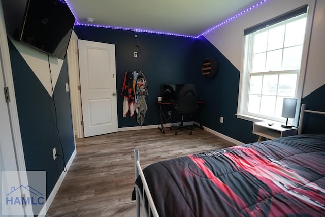21 Oak Ridge Cemetery Rd SW, Ludowici, GA 31316 - bedroom featuring wood finished floors and baseboards