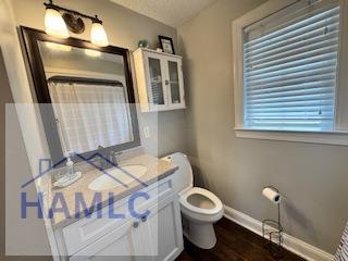 bathroom featuring vanity, wood-type flooring, and toilet