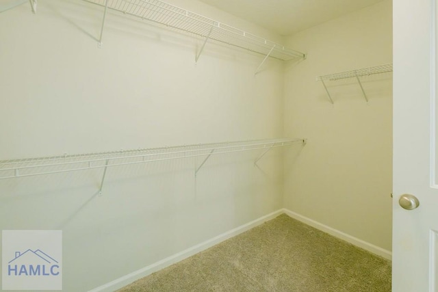 walk in closet with carpet