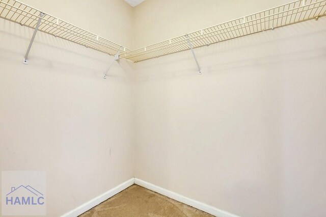 walk in closet with carpet