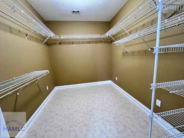 walk in closet with carpet