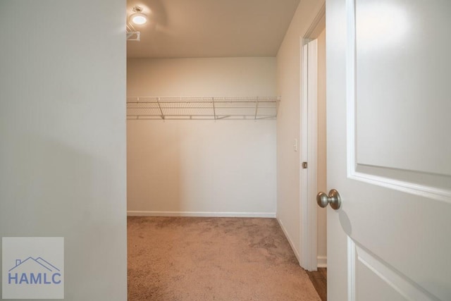 55 Enclave Way NE, Ludowici, GA 31316 - spacious closet with carpet floors