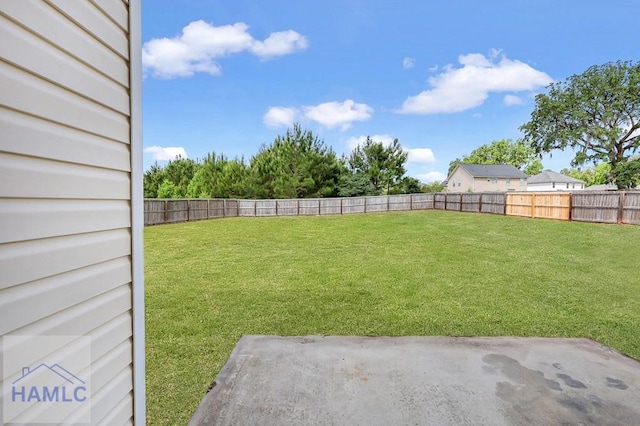 359 Nashview Trl, Allenhurst, GA 31301 - view of yard with a fenced backyard and a patio area