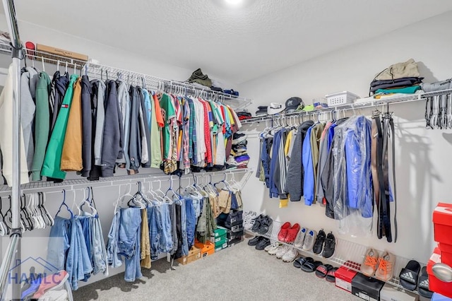 spacious closet with carpet floors