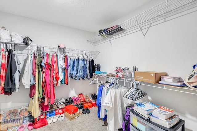 walk in closet featuring carpet flooring