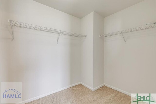 walk in closet with light colored carpet