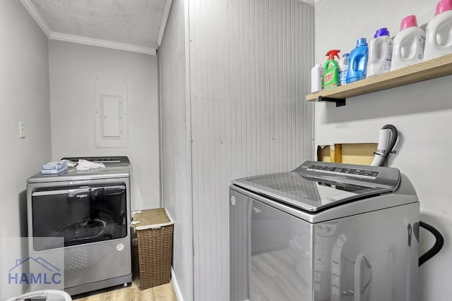 clothes washing area with washing machine and clothes dryer, electric panel, crown molding, a textured ceiling, and light wood-type flooring