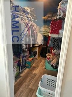 spacious closet featuring wood finished floors