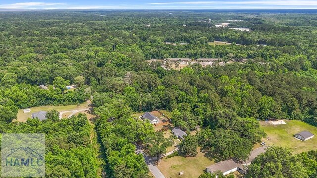 443 Martin Rd, Midway, GA 31320 - aerial overview of property's location with a forest