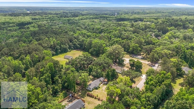 443 Martin Rd, Midway, GA 31320 - bird's eye view of a heavily wooded area