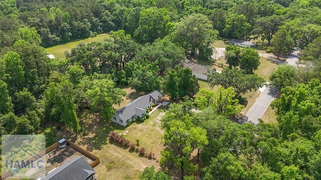 443 Martin Rd, Midway, GA 31320 - drone / aerial view of a heavily wooded area