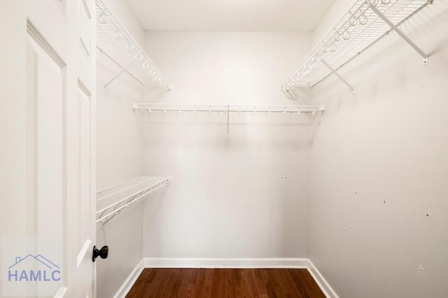 spacious closet featuring dark wood finished floors