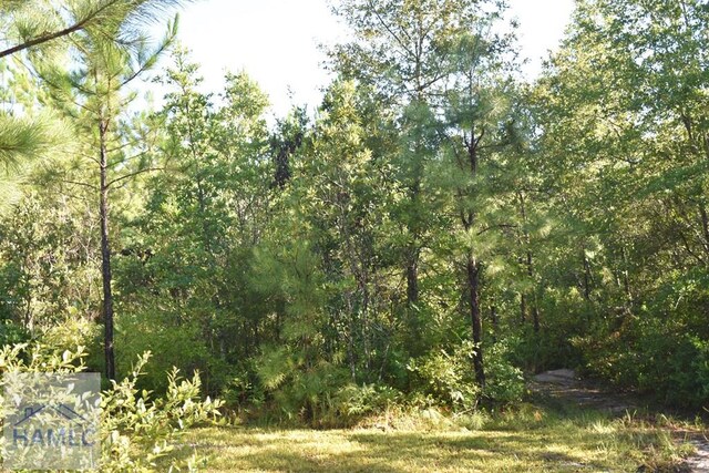 173 Macon Ln, Ludowici, GA 31316 - photo 8